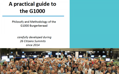 A practical guide to the G1000