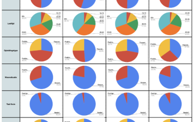 Representativiteit en diversiteit in het burgerberaad G1000Schagen